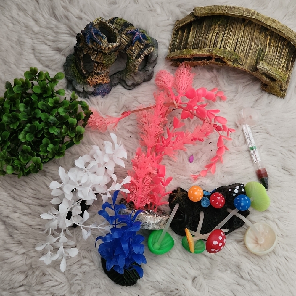 Aquarium Plants + Decorations